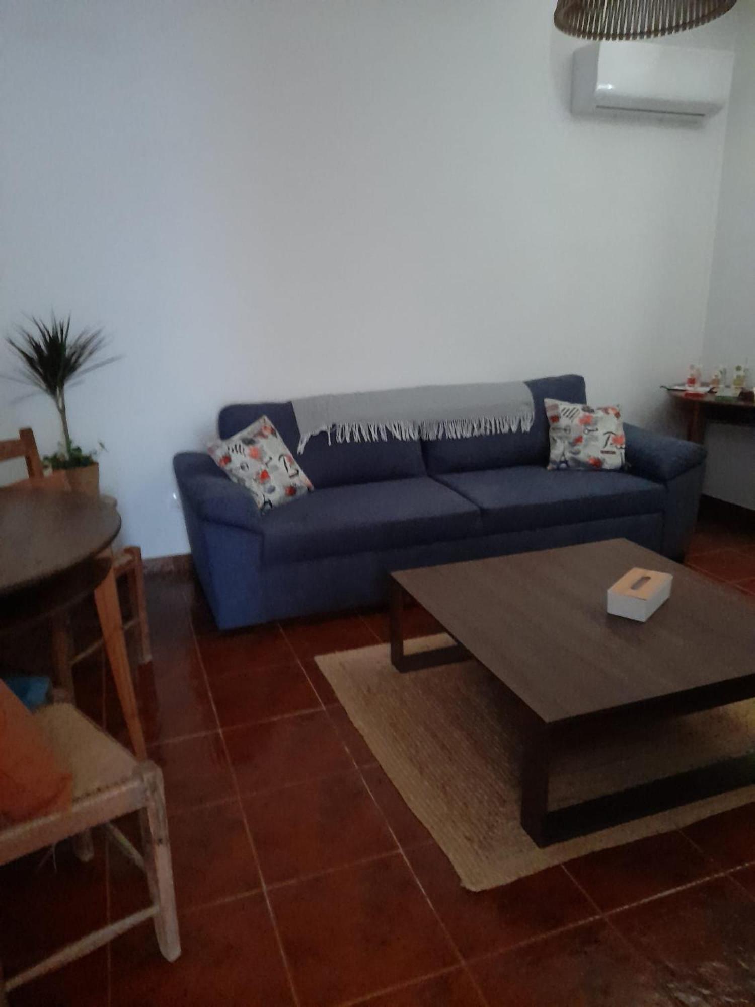 Nova Quinta Moderna Torramo Em Oliveiras, Campo De Laranjas, Na Nacional 2, Alentejo 13750 M2 Villa Torrao  Bagian luar foto