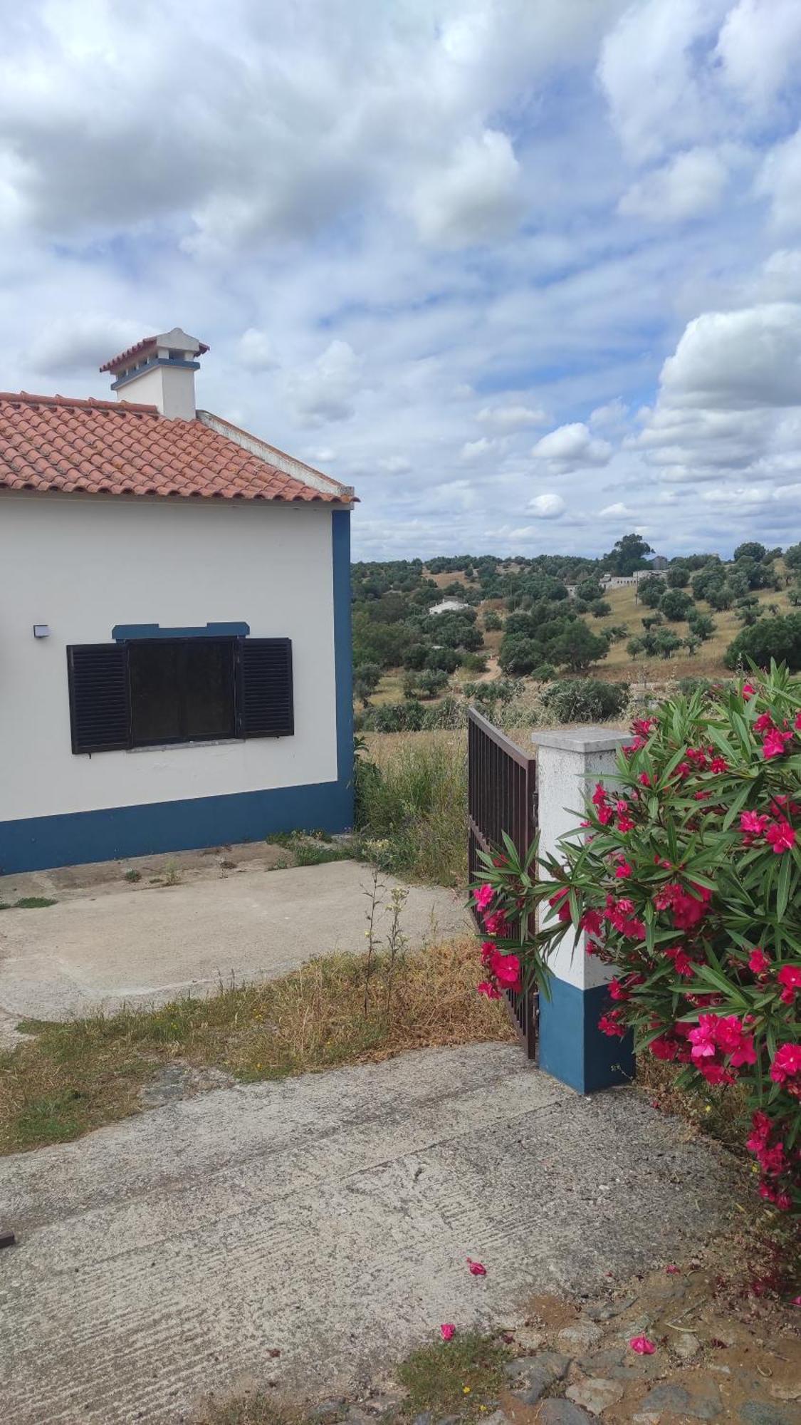 Nova Quinta Moderna Torramo Em Oliveiras, Campo De Laranjas, Na Nacional 2, Alentejo 13750 M2 Villa Torrao  Bagian luar foto