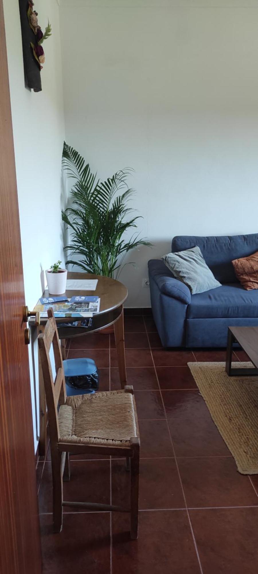 Nova Quinta Moderna Torramo Em Oliveiras, Campo De Laranjas, Na Nacional 2, Alentejo 13750 M2 Villa Torrao  Bagian luar foto